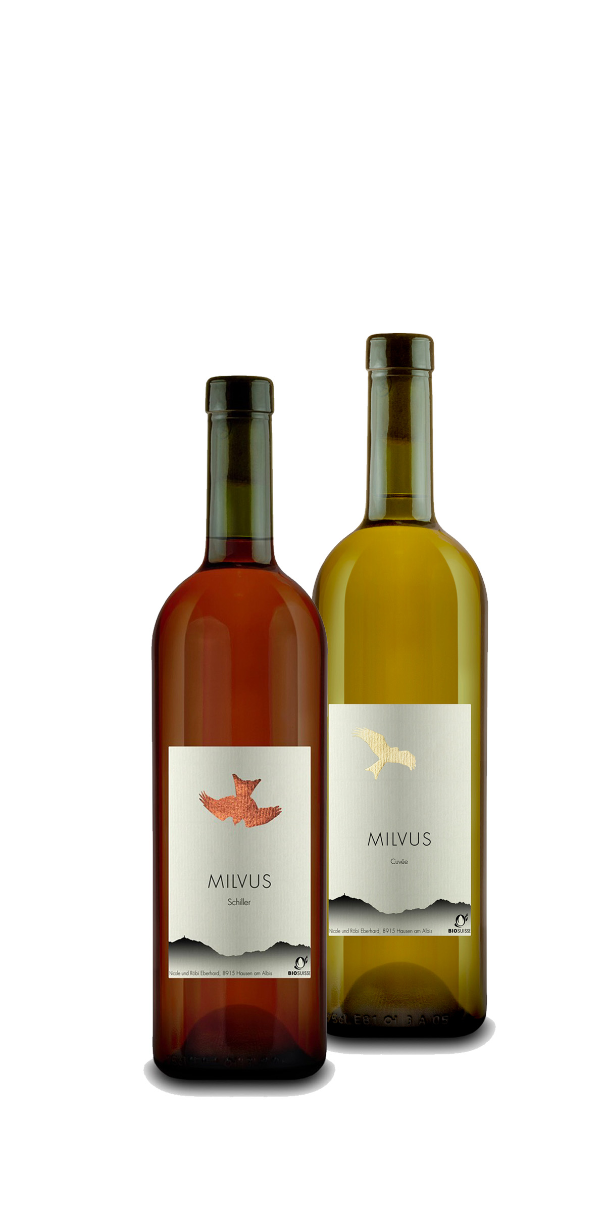 Abo_weiss_Schiller_2